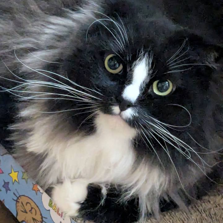 4d99f745 4909 4e4e b2a6 08b1447ce6c9 1773868164466