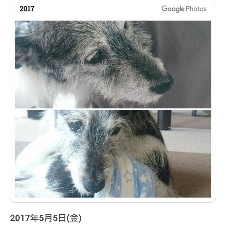 4d9a0126 96e3 4cc0 ae19 f65ae9e09af4 1557451006918