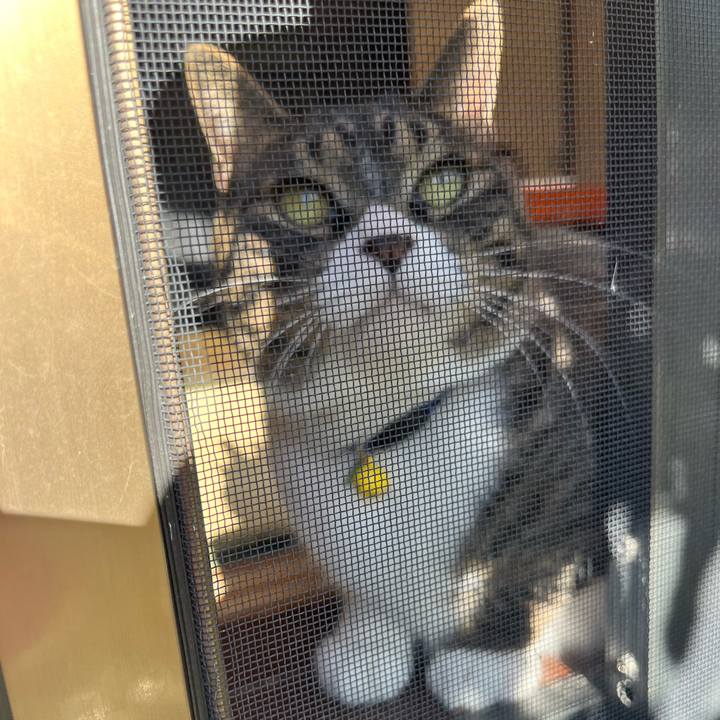 4d9a2f09 fda4 46a1 b89f cb6b33597eb6 1758323949847