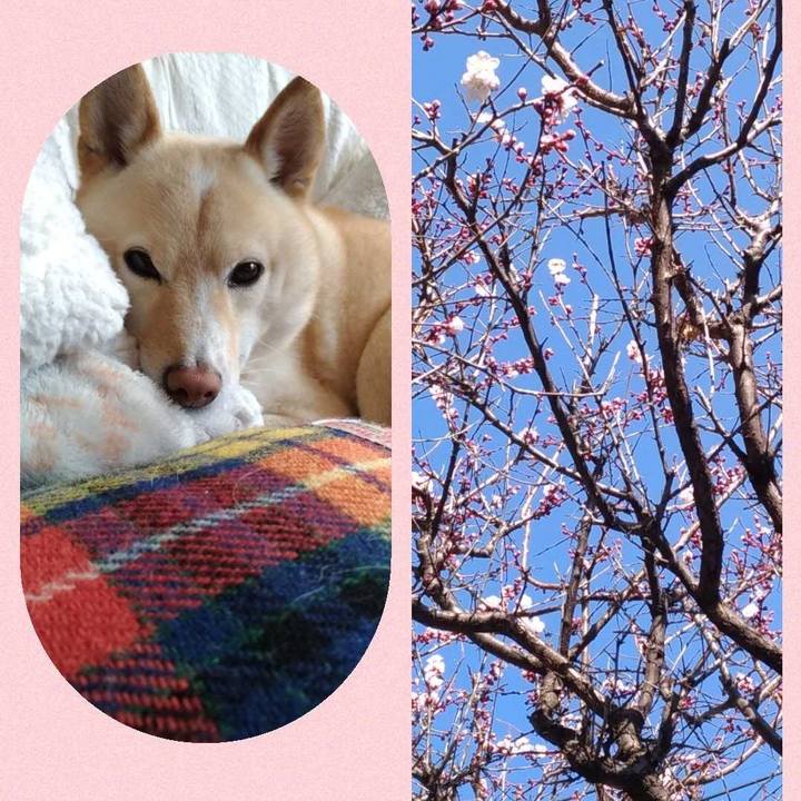 4d9a9be2 f3a9 487b a914 117c3b5aefc9 1613881701111