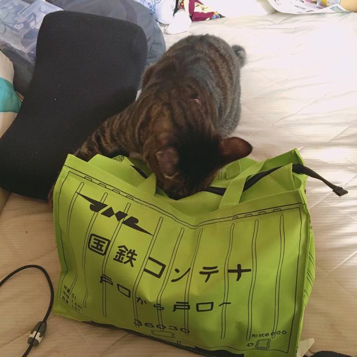 4d9ac1e4 a0d1 4292 a572 59ee00ae162f 1569660034577