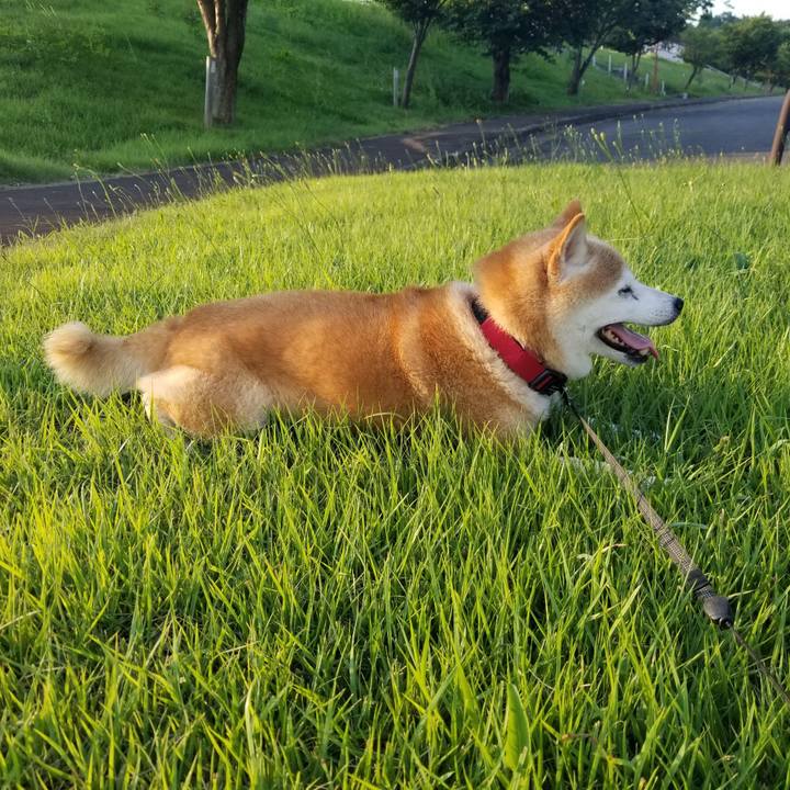 4d9ada16 1d05 4bdd a2a5 41947d35fd94 1722847596597