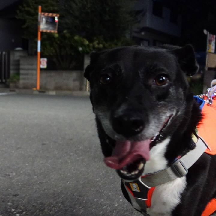 4d9ae4d7 755d 4ccf bfd5 10dcc94cb8ee 1722941548534