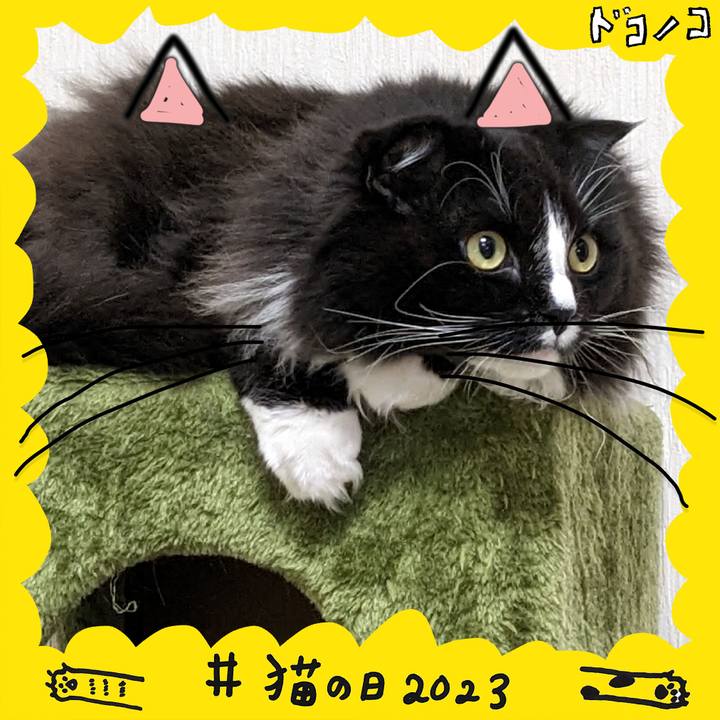 4d9afad4 b93b 4b6a aa86 9a579b476fe8 1677021112831