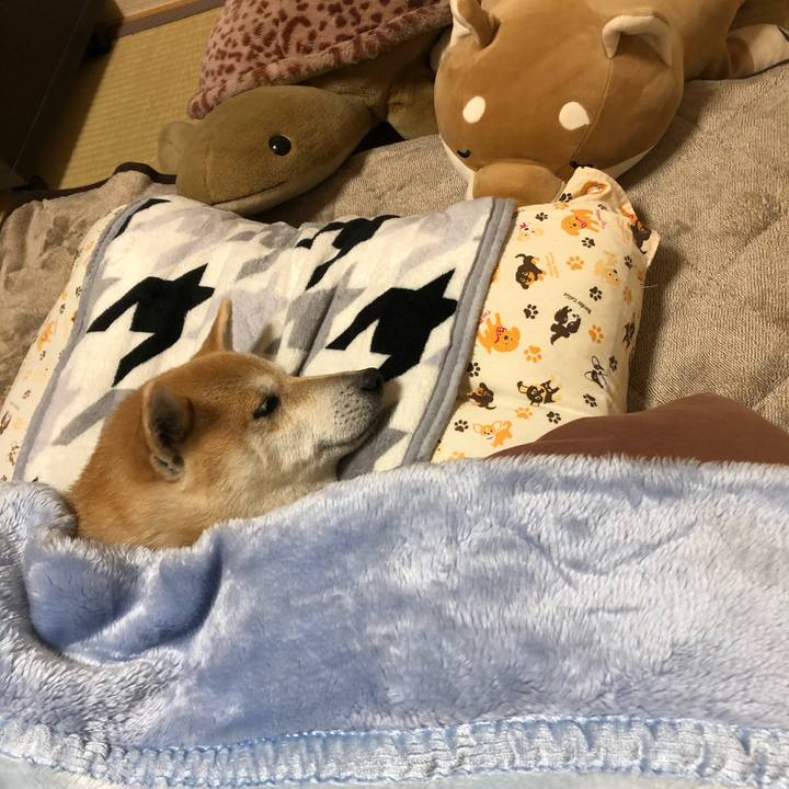 4d9afde1 605a 44a3 bf4b 540c7472b46e 1577799985940