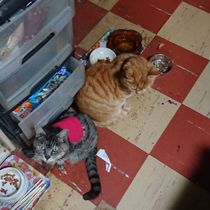 4d9b1c78 d30b 4476 9a0e b0b1a4d8f679 1586602167198