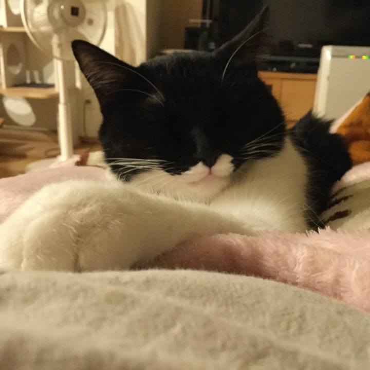 4d9b8f34 ab2e 4ce0 9da5 764e7335002b 1509267898502