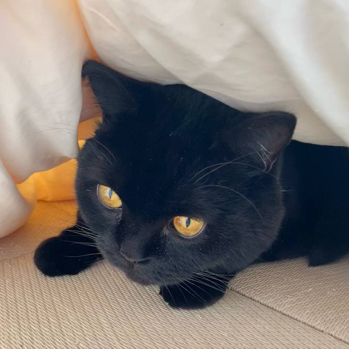 4d9b9078 f3f0 4178 9c36 875cee79f20a 1729430263221