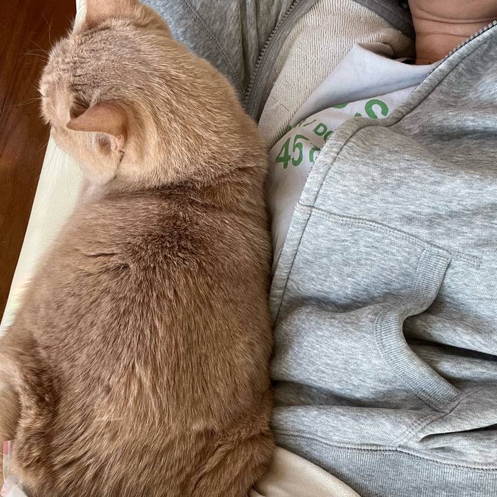 4d9bad06 8d19 4068 bccd 0283a6b1644d 1668639640609