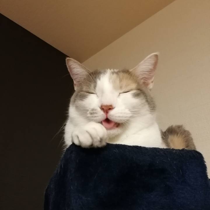 4d9bb1a3 0e5c 475d 9977 32d47caafc40 1547039065205