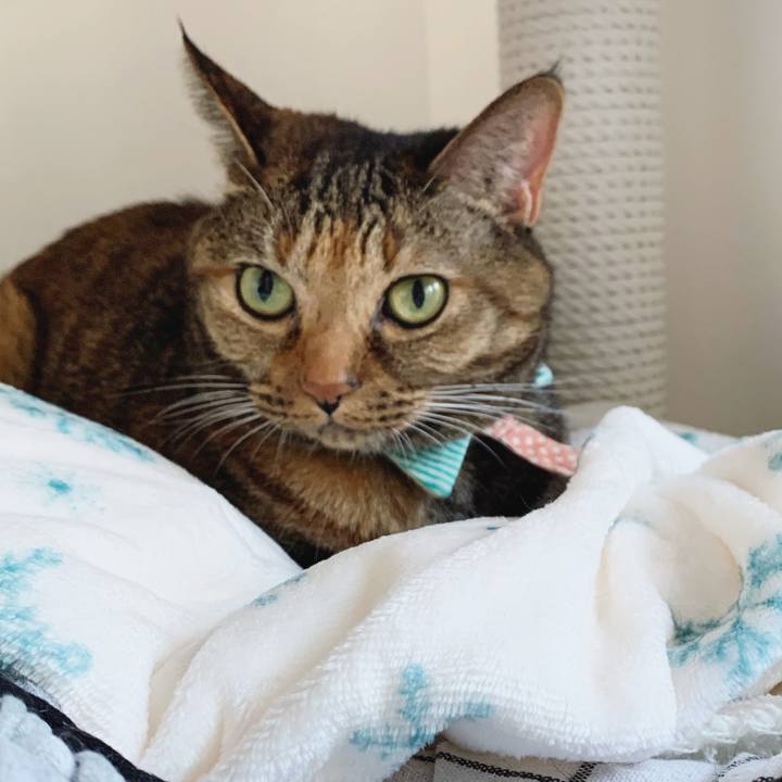 4d9bc985 1fc1 40db ab46 bf08936609e9 1573280056076