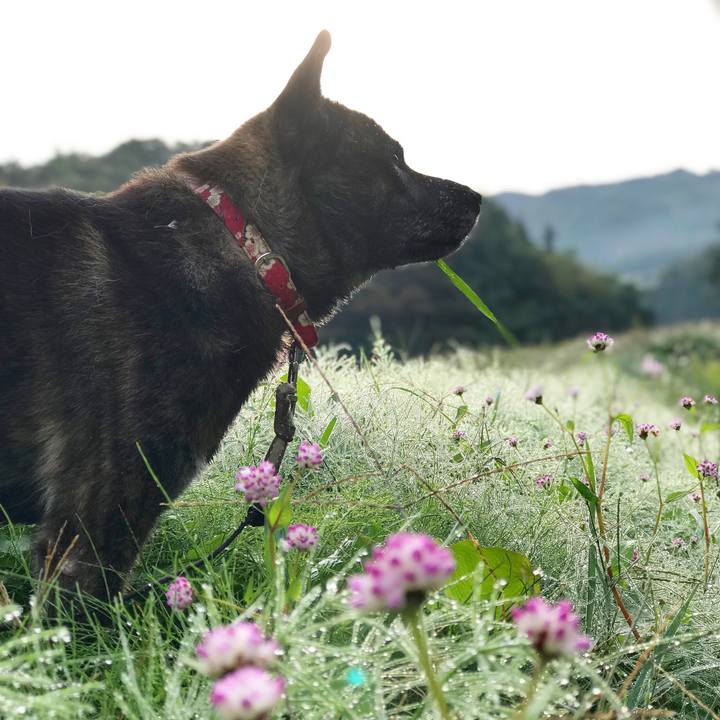 4d9be5fd ea48 45e0 a247 e31d853f98b3 1539644563276