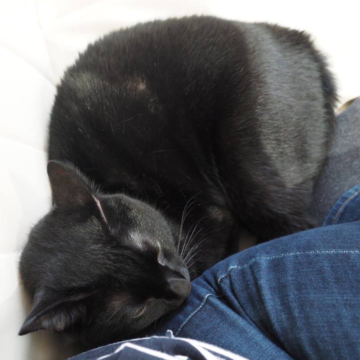 4d9bf254 389e 4a17 8561 27d7d762dba5 1539905216607