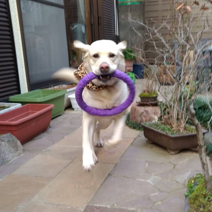 4d9c39f9 7da0 4b18 90a3 f829fd94058c 1581151860016