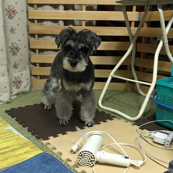 4d9c3feb 95d2 491d bad1 caecfefc3a4d 1668340285118