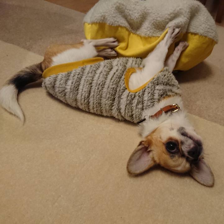 4d9cadf5 bb3a 4db1 a934 54061d84d544 1548757689821