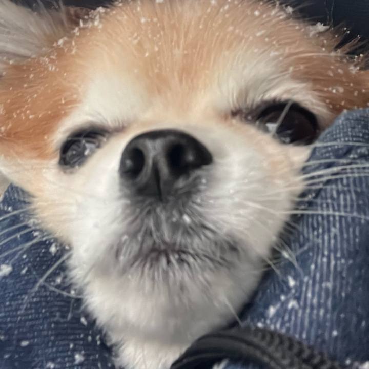 4d9cbb8a ab84 48e2 998f 340b7560a75c 1770507529884