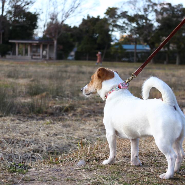 4d9cc15d b334 4529 8819 801460c72cbc 1546582606191