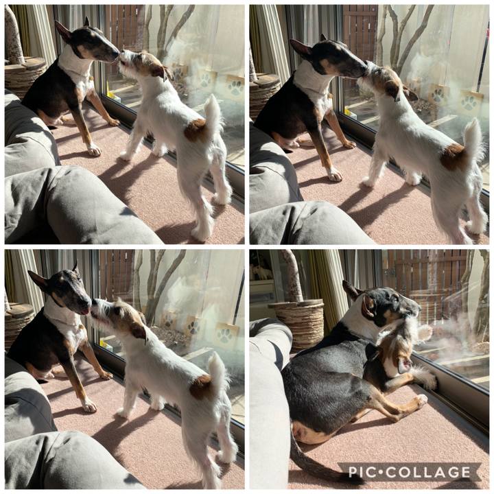 4d9cd285 895e 4072 a885 8434fec9429b 1577941343936