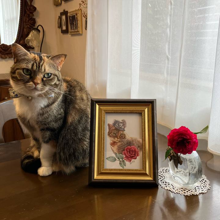 4d9cf615 23f4 48ee a5b9 5775ca6e45d3 1764996158741