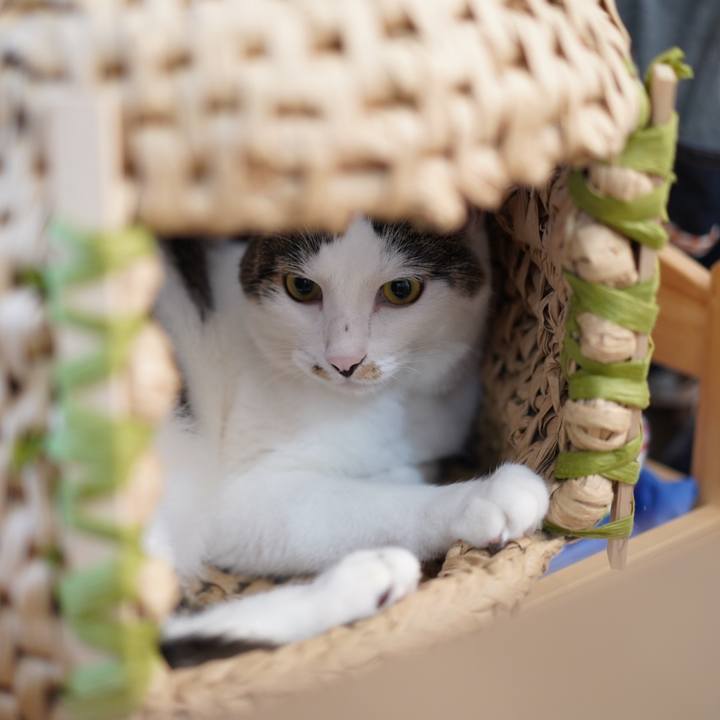 4d9d26fb fee7 4c59 bc3d e8b934c1acee 1566744256211