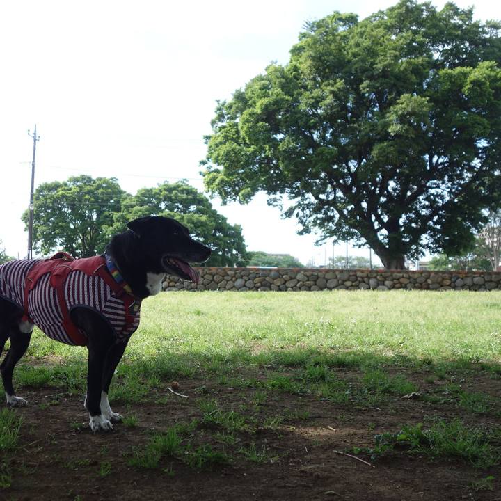 4d9d532c 58e1 41c6 95b1 d81b101bb528 1683335813296