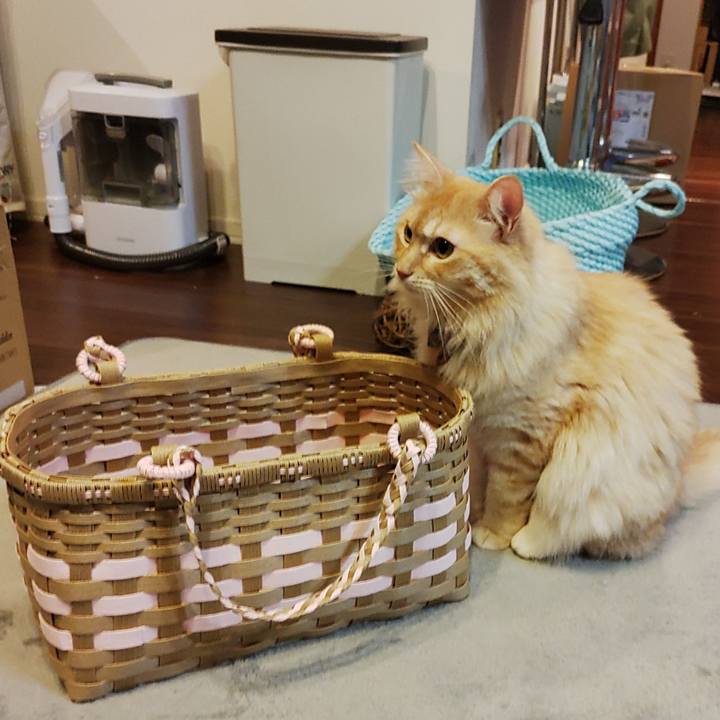 4d9d537b 651f 47ef 9d09 f97a79a3eb61 1660398591184