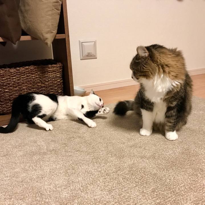 4d9d5739 81eb 4e08 bcbb 96673d448a55 1510874833528