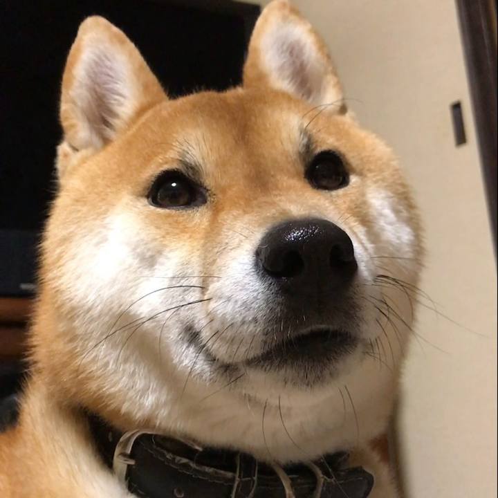 4d9d6308 8589 4c8c 8505 7430f306247c 1523614497547