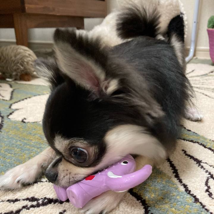 4d9da9f1 7ac9 474f bea9 6f9ab25c8f2a 1629035136195