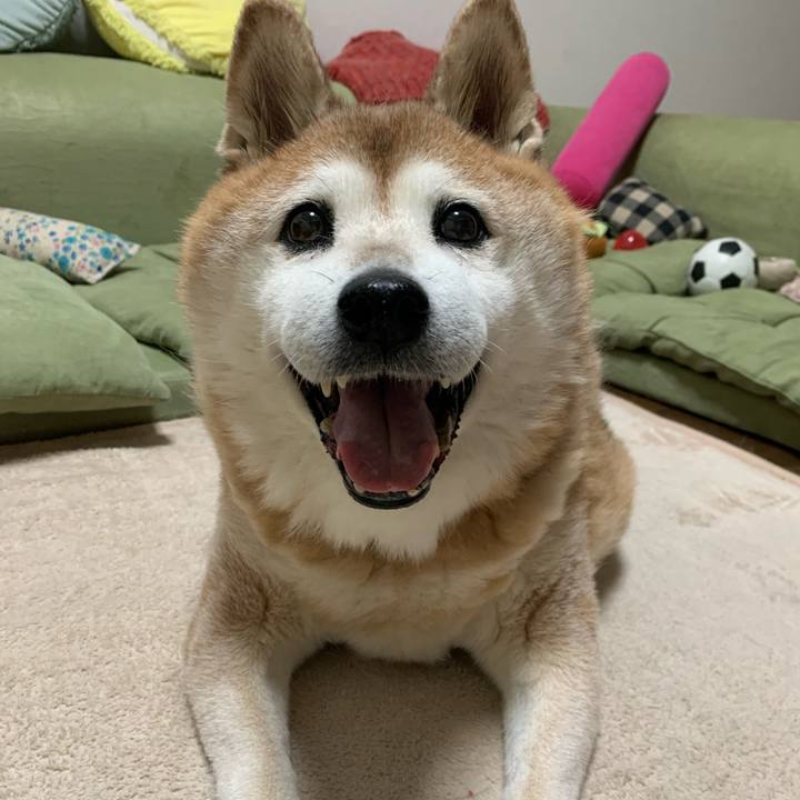 4d9ddc06 82fd 4562 aeb1 82e12f071f21 1597101932010