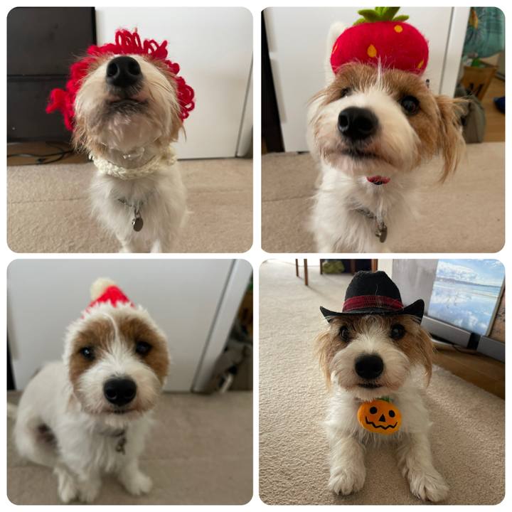 4d9e0438 e1c7 4134 863e 32f7003734f2 1759733455214