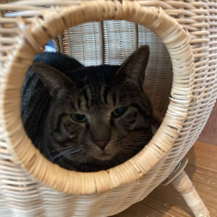 4d9e2214 4bdd 4c63 8728 1719a8ded2d7 1673654752307