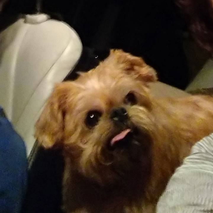 4d9e2772 2edc 41e9 a879 16fc4d873836 1598787160871