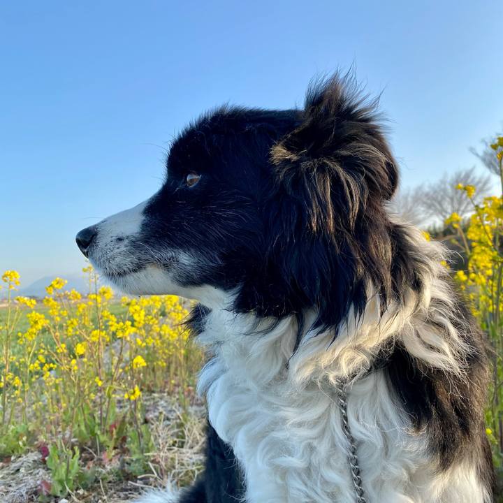 4d9e445e d095 4a36 a2e2 4cc09a17efa9 1646260979951