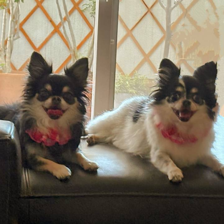 4d9e79b6 958d 4318 be8d e9c93fa0e9bb 1758695212045