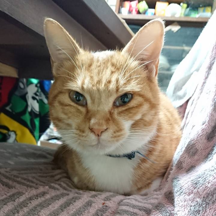 4d9e9412 5dde 43ec a7e5 2f711a5e2b11 1604609345670