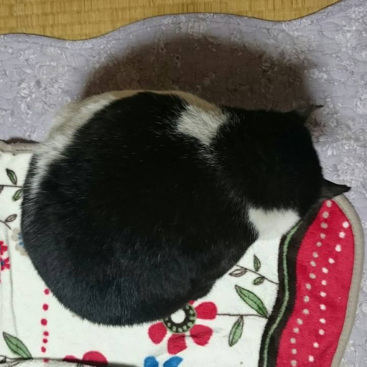 4d9e966b 9298 4151 b03e 98a5e71983c5 1522884558608