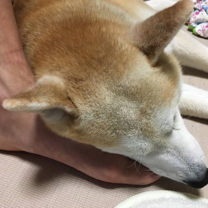 4d9ea140 dce3 45f7 b637 fa282fb0d133 1526084008370