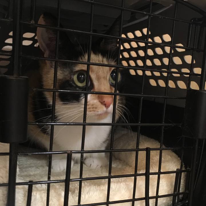 4d9ed9ea 6361 4c18 94b1 4d13c4ef4abc 1510211515164