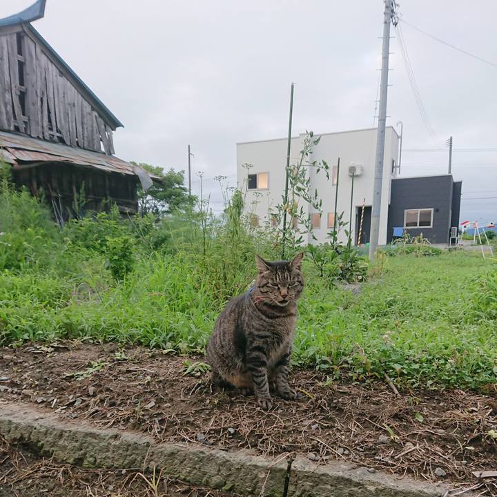 4d9f2ba9 e1ff 49ed 8566 0a33a8260f5f 1659736343913