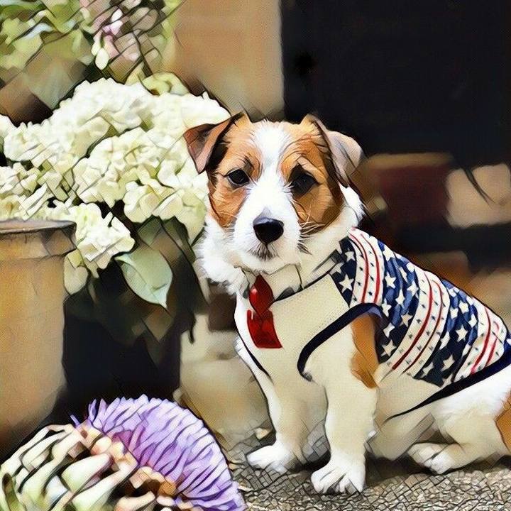 4d9f2fc0 1de3 43a0 8300 5c274ebef0e1 1529880921400