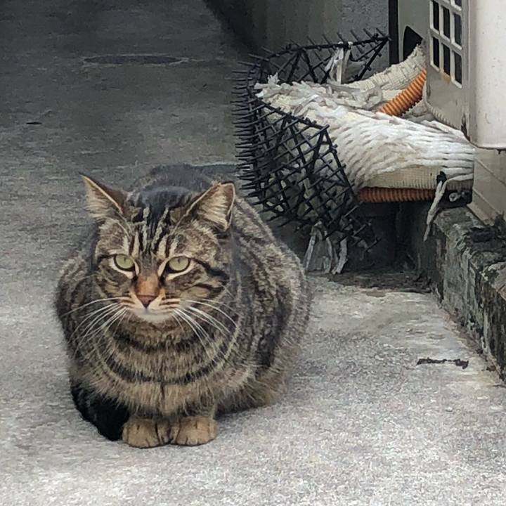 4d9f46a1 4e7a 4a46 980e d59982093d1c 1520751576465