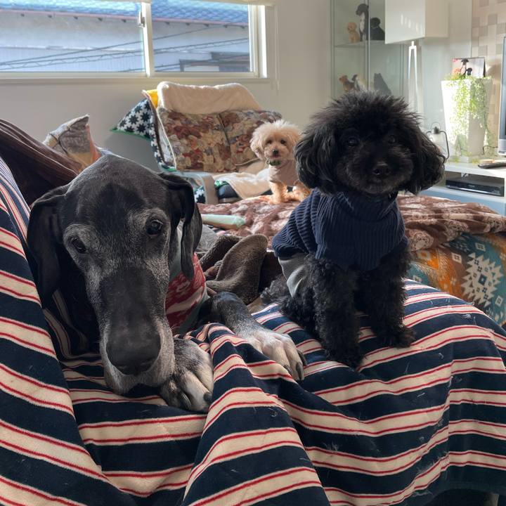 4d9f5b8e 08f3 4bfd b688 bb1449c70798 1646693044645