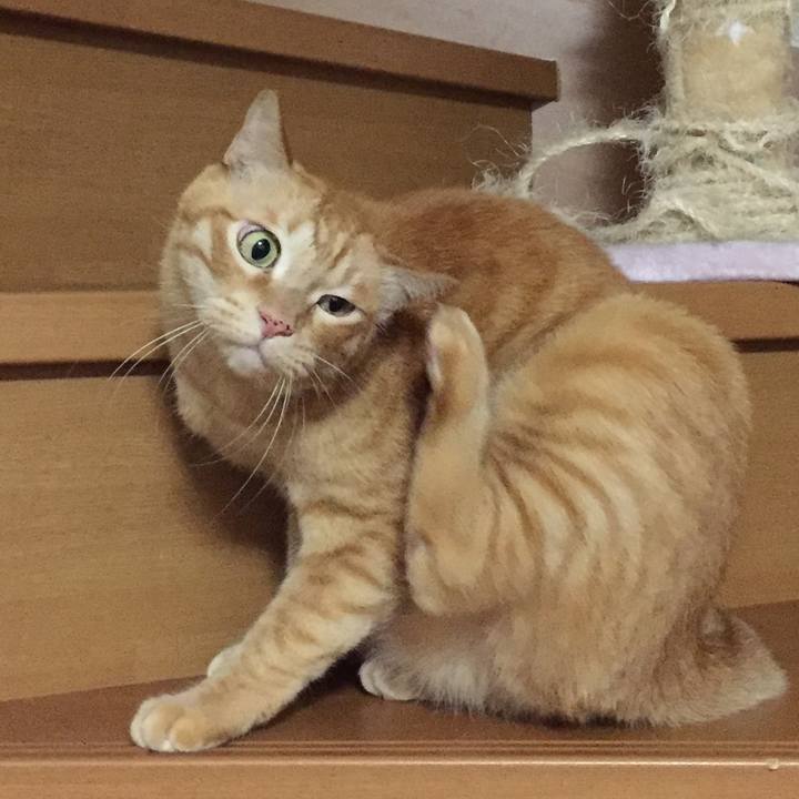 4d9f74c2 2322 445c a859 1d6ba85fdafe 1538832542729