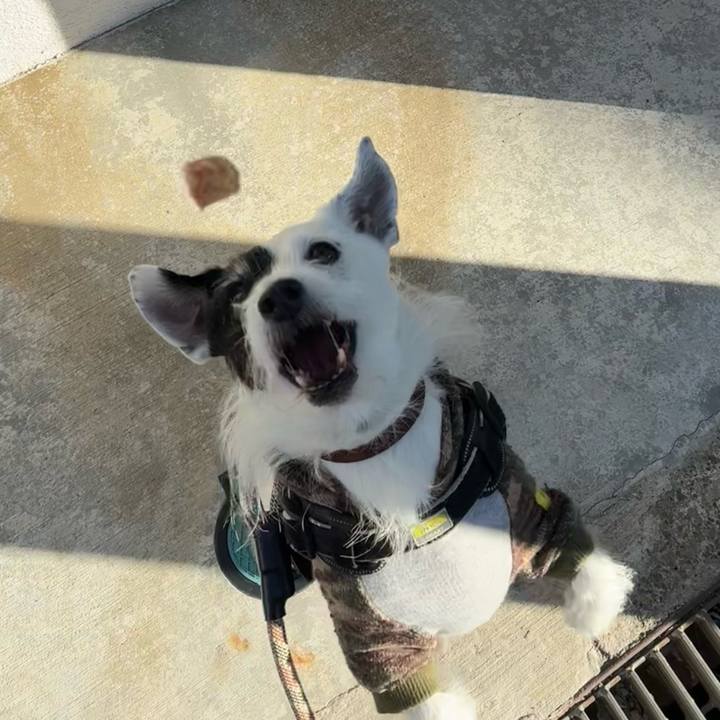 4d9f8477 c061 4b7d afa7 465490171037 1765844941761