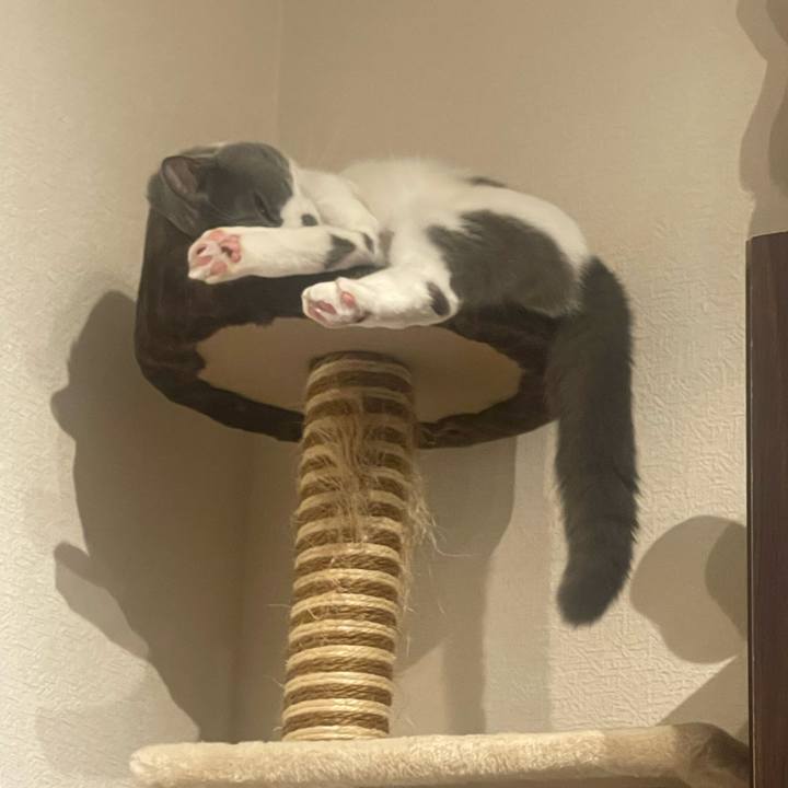 4d9f9426 a63c 432c 9fae 7a06df5255d8 1729008064212