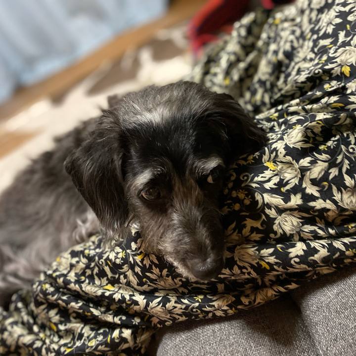 4d9fc1af 525c 4a58 aa06 b92e19e2aa76 1635981516534