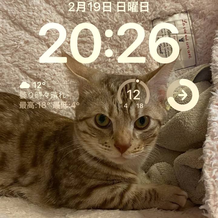 4d9ff66c 4a25 45fb a9c3 92fbc92f25a6 1676813129498