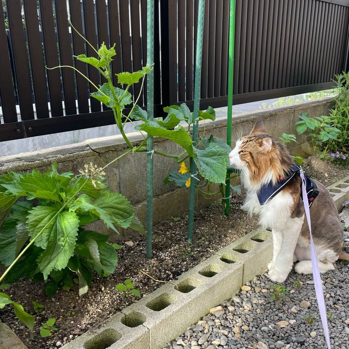 4da00631 e421 476d a8b0 a67bb35b7aa8 1687722924182